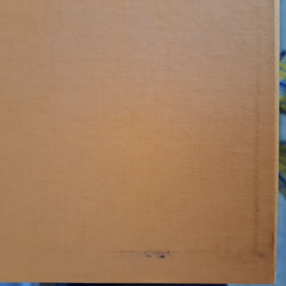 Extremely Large Louis Vuitton Magnetic Flap Lift Box (Empty) - Picture 9 of 16